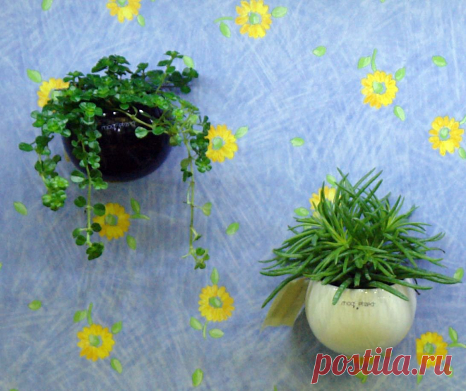 Мемомагнетика - вы тоже не знаете что это такое?