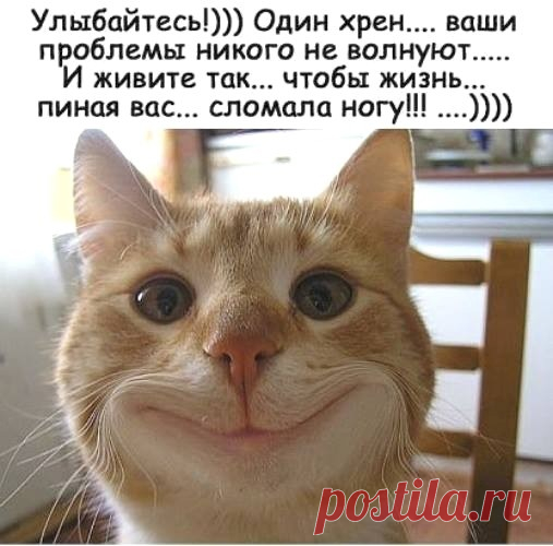 Умирает старый еврей. Слабым голосом спрашивает: — Моя жена рядом? — Да, мой дорогой. — А мои дети здесь? — Да, папочка. — Мои внуки здесь? — Да, дедушка!.. — Тогда почему на кухне свет горит? - Выпуск №2554