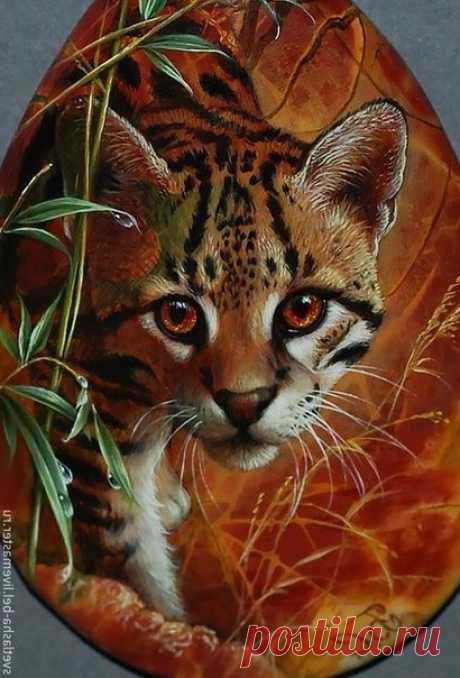 Кот