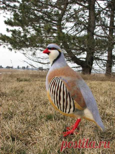 Киеси Мино // иглы Felted Животные: Chukar