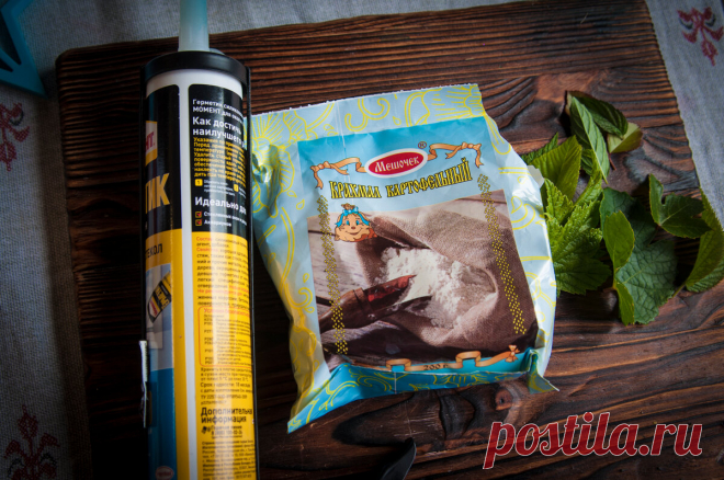 Пока еще не все листья опали - надо успеть сделать молды для творческих экспериментов | Живые вещи | Яндекс Дзен