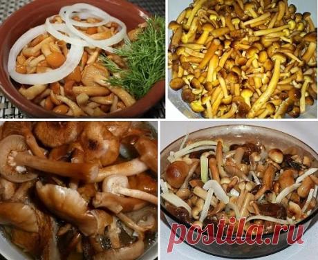 (67) Одноклассники