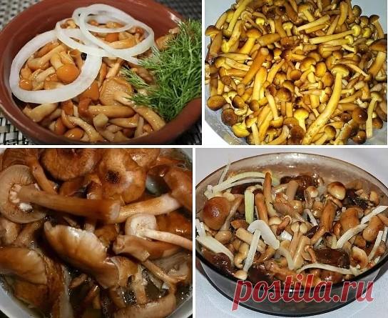 (67) Одноклассники