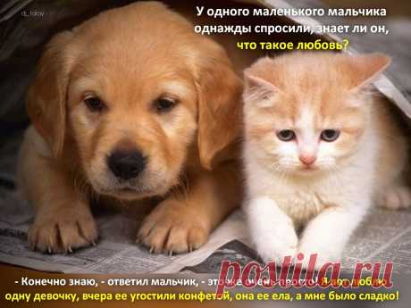 Афоторизмы dj_talay'a