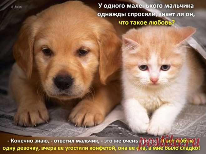 Афоторизмы dj_talay'a