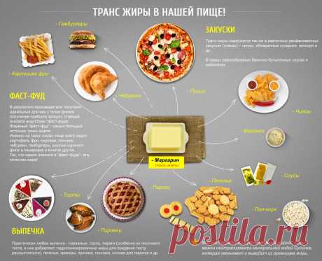 Транжиры-жиры сокращающие жизнь и продукты их сод