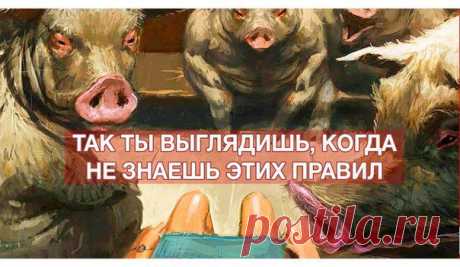 Философия | Психология | Саморазвитие | ВКонтакте