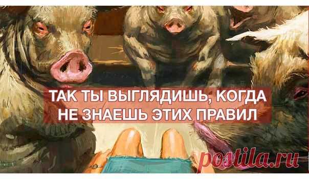 Философия | Психология | Саморазвитие | ВКонтакте