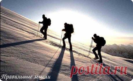 Ничто на свете не может заменить упорства / Восприятие бизнеса