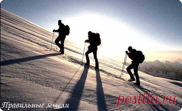 Ничто на свете не может заменить упорства / Восприятие бизнеса