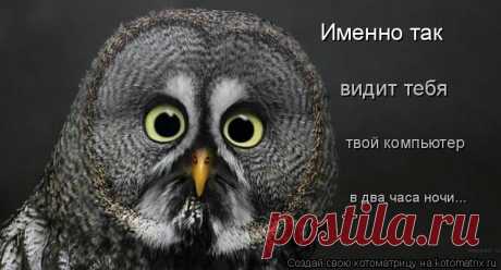 Котоматрица: Свежак