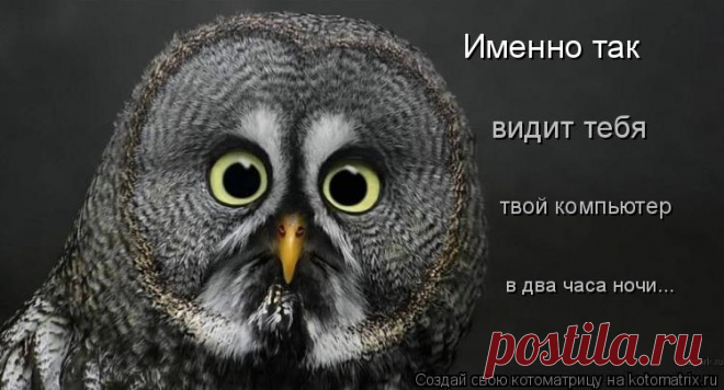 Котоматрица: Свежак