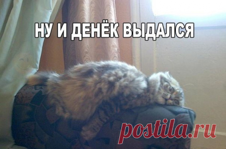 Смейся до слёз :D