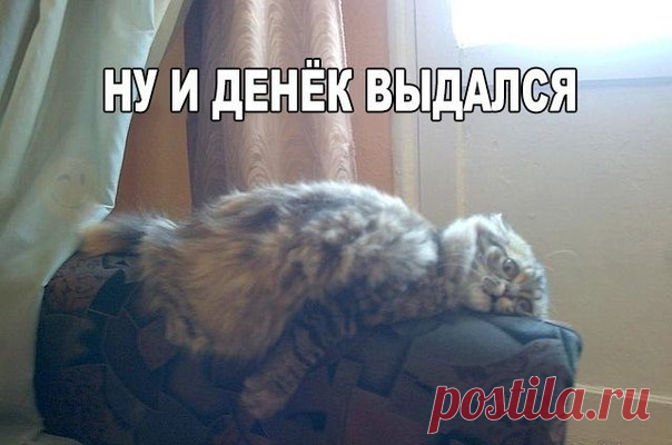 Смейся до слёз :D