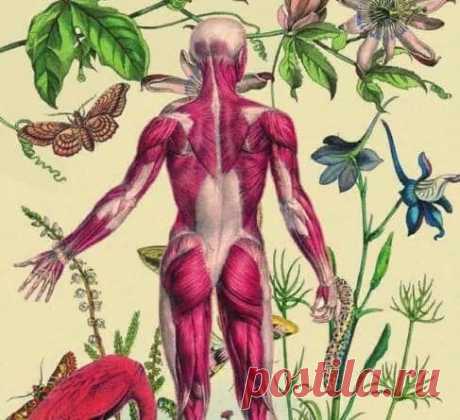 Новости - МирТесен