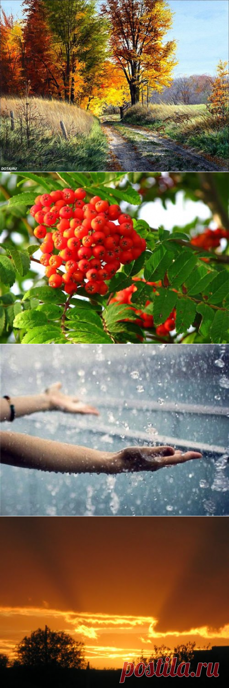 Народные приметы на октябрь 2016 года