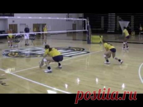 Serve Receive Rehab