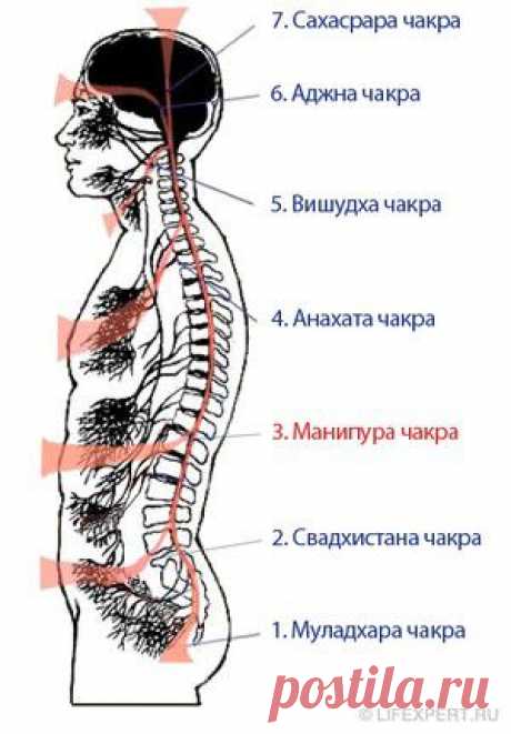 3 третья чакра - Манипура (чакра солнечного сплетения)