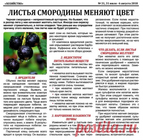 (998) Pinterest
