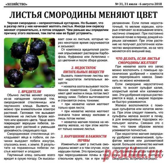 (998) Pinterest