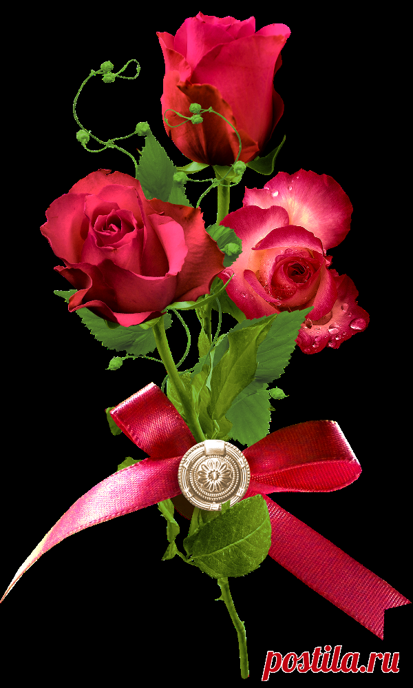 разные красивые детали на прозрачном фоне: 19 тыс изображений найдено в Яндекс.Картинках