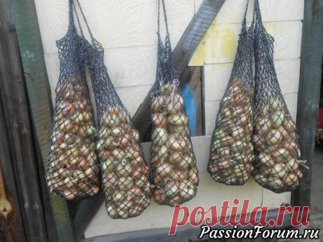 Сетки для лука