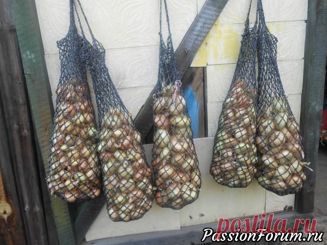 Сетки для лука