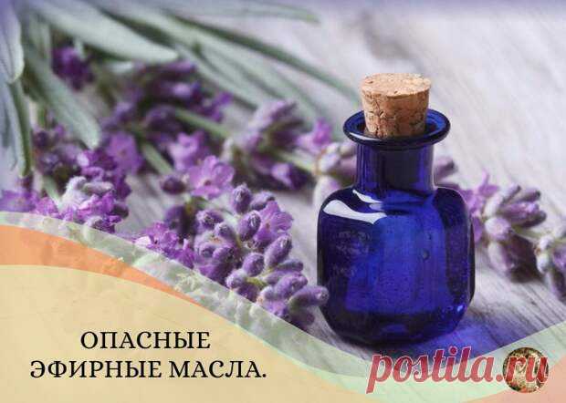 ОПАСНЫЕ ЭФИРНЫЕ МАСЛА.... - Познавательный сайт ,,1000 мелочей