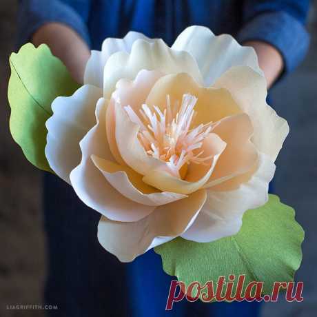 Шедевральные цветы из бумаги — DIYIdeas