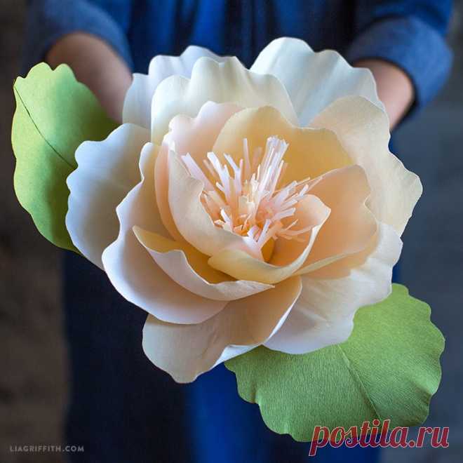 Шедевральные цветы из бумаги — DIYIdeas