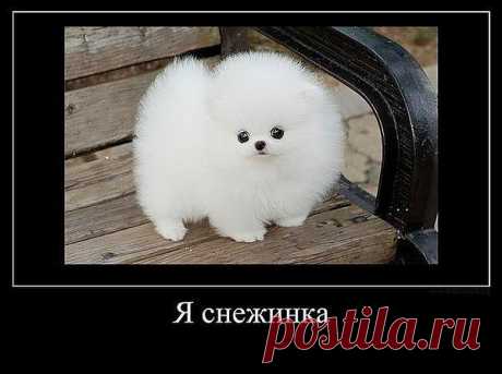 Мой Мир@Mail.Ru