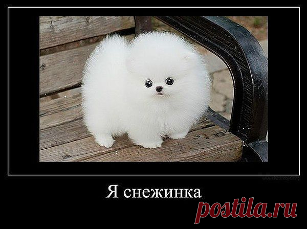 Мой Мир@Mail.Ru