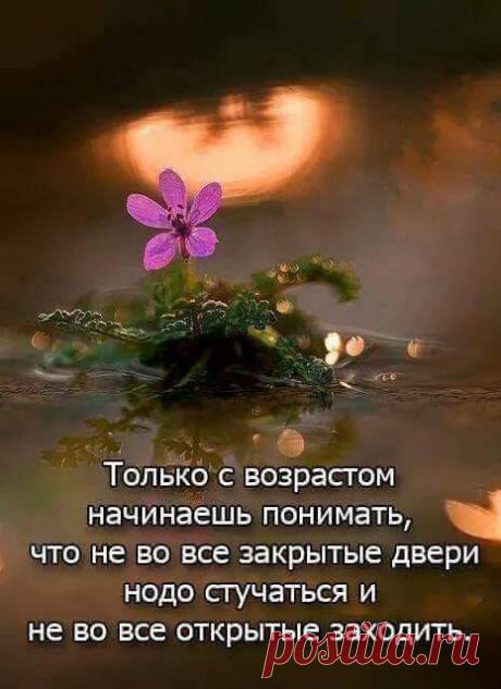 Огромный мир в зерне песка,
В единой горсти - бесконечность,
И небо - в чашечке цветка.. .
Омар Хайям

Всё о жизни и успехе!
Освободите свое сердце от волнений - большинство из них бесполезны.Ты никогда не сожалей о том, что было. Хорошее или плохое — всё уже произошло… И плюс лишь в том — оно тебя чему-то Научило…
Лучшие вещи в жизни бесплатные: объятья, улыбки, друзья, поцелуи, семья, сон, любовь, смех и хорошие воспоминания!А в общем одним словом -- ЖИЗНЬ!!!