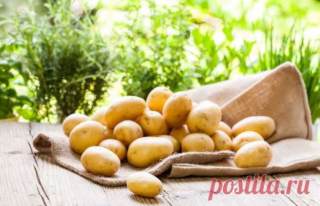 Девять секретов приготовления идеального картофеля - KitchenMag.ru
