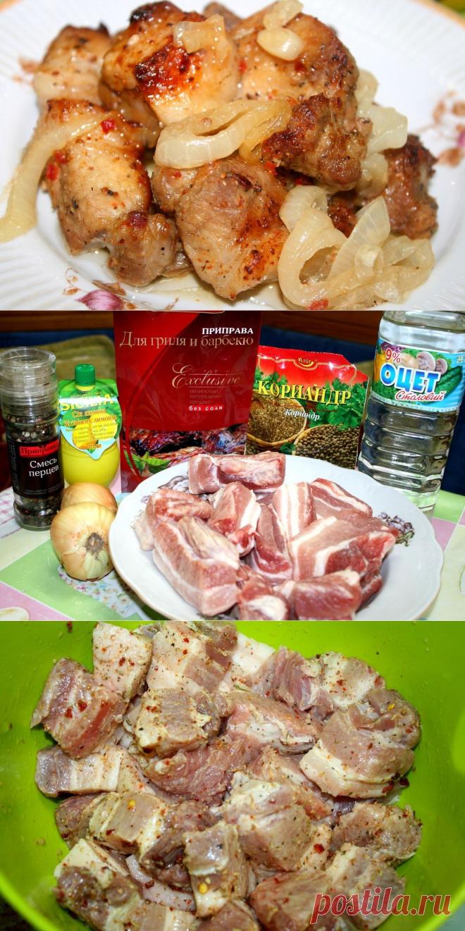 Как приготовить шашлык в духовке на луковой подушке - рецепт, ингридиенты и фотографии