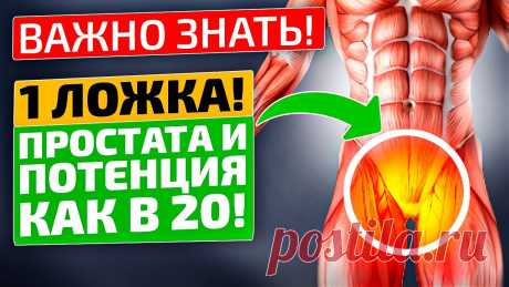 Дедушкин рецепт спас мочевой и простату моего мужа! Вот как раньше лечили простатит! Каждый мужчина рано или поздно задумывается о здоровье предстательной железы. К несчастью, нарушения в работе этого органа встречаются у большинства мужчин п...