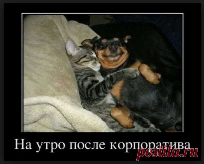 Новогодние корпоративы. Классные приколы! / Писец - приколы интернета