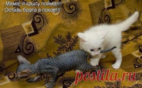 хххх