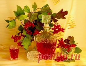 Настойка на калине