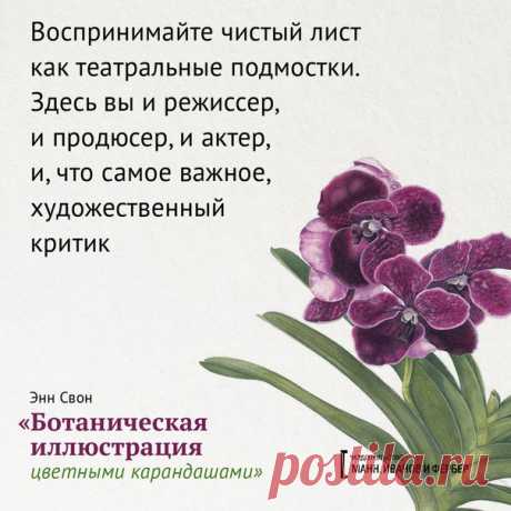 «В живописи нет ничего невозможного», – пишет художница Энн Свон в книге «Ботаническая иллюстрация цветными карандашами», и мы с ней очень согласны. Публикуем открытки с цитатами и иллюстрациями из практического руководства, которое научит вас рисовать растения с удовольствием и прекрасным результатом.