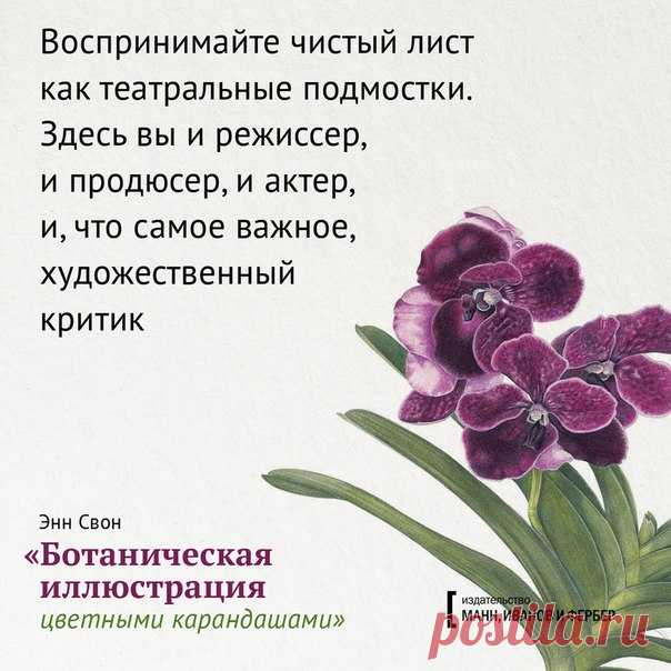 «В живописи нет ничего невозможного», – пишет художница Энн Свон в книге «Ботаническая иллюстрация цветными карандашами», и мы с ней очень согласны. Публикуем открытки с цитатами и иллюстрациями из практического руководства, которое научит вас рисовать растения с удовольствием и прекрасным результатом.