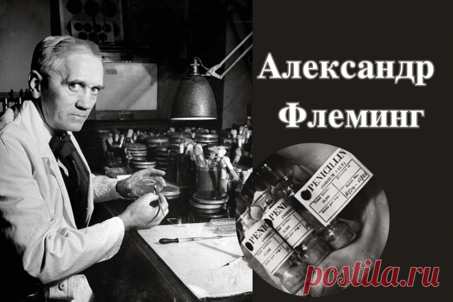 🔥История успеха Александра Флеминга: биография «случайного» первооткрывателя антибиотика пенициллина
👉 Читать далее по ссылке: https://lindeal.com/people/istoriya-uspekha-aleksandra-fleminga-biografiya-sluchajnogo-pervootkryvatelya-antibiotika-penicillina