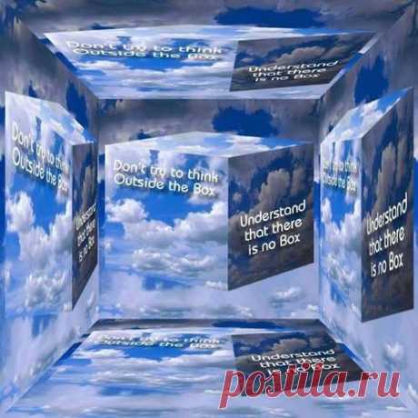 elreydelmundo - Tastebuds