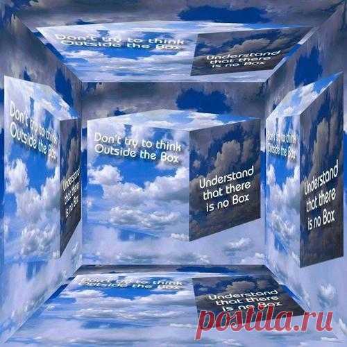 elreydelmundo - Tastebuds