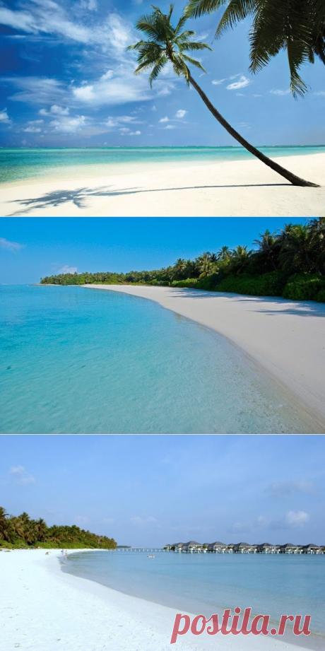 Атолл Ари - коралловый остров на Мальдивах - LeStatus - энциклопедия Земли