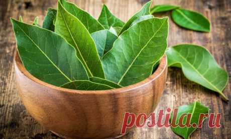 Как вылечить цистит за 1 день / Будьте здоровы