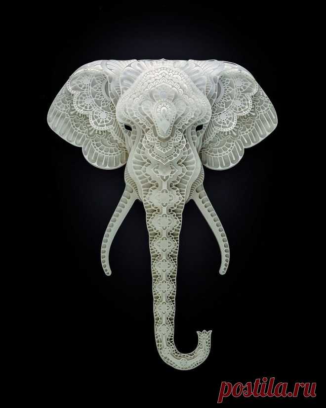 Минималистические 3D-портреты редких животных из бумаги — Сделай сам, идеи для творчества - DIY Ideas