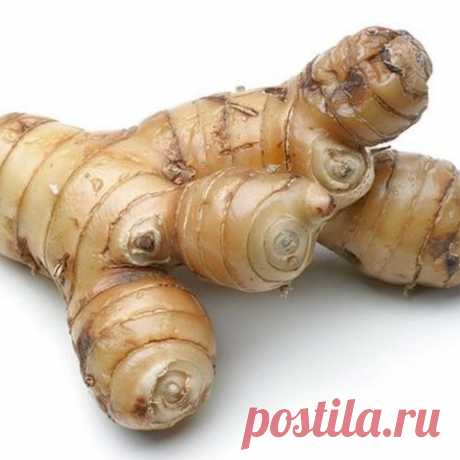 Корень калгана полезные свойства