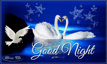 Photo: Night Of The Swan Good Night | Night of the Swan Extra's album | Janet's Gifts | Fotki.com, photo and video sharing made easy.