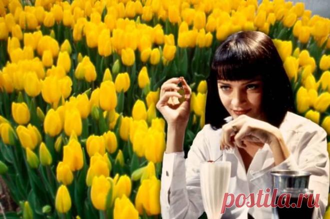 Помнишь ли ты имена крутых героинь кино 90-х? — Бабушкины секреты Все мы помним персонажей Арнольда Шварценеггера, Сильвестра Сталлоне и Брюса Уиллиса. Хотя в сильном кино есть место и слабому полу. Проверь, знаешь ли ты имена крутых женских персонажей из кино 90-х.